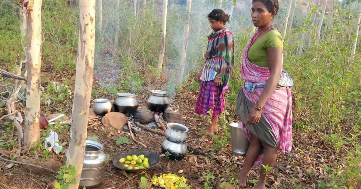 Refugees in the woods - Photo: Morning Star News