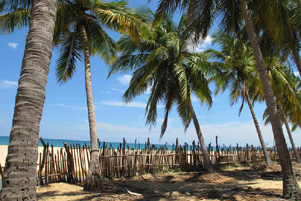 The beach at Kalkudah, Sri Lanka - Photo: Flickr / ''christophe_cerisier''