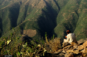 A man reading the Psalms in the Eritrean hills