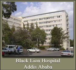 Black Lion Hospital