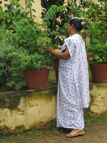 Bhanvini tending to bushes