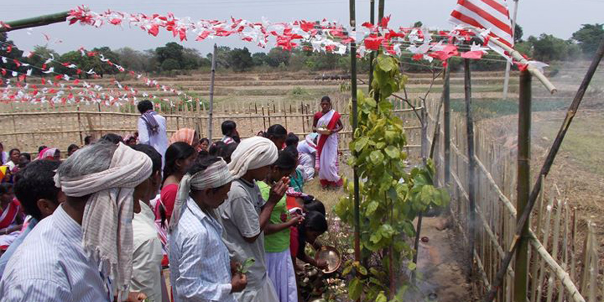 Sarna worshippers - Photo: Wikipedia