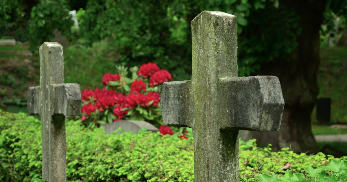 Two cross-shapped headstones are surrounded by greenery.