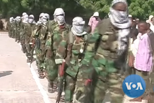 Al-Shabaab militants