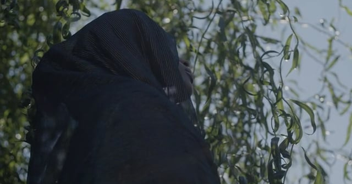 A woman in dark clothing is looking up through sunlit branches.