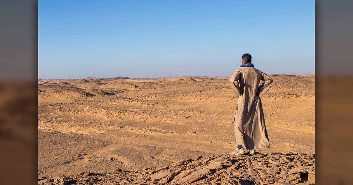 Man overlooking desert