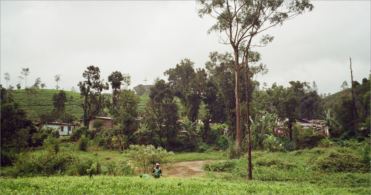 A village is nestled in lush greenery. A village is nestled in lush greenery.
