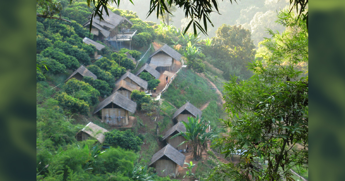 Several homes are surrounded by trees on a hillside.