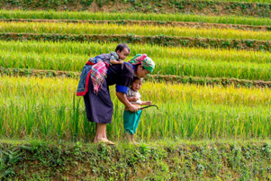 Vietnamese woman in the rice fields with her little boys - Photo: Pixabay - Huỳnh Mai Nguyễn