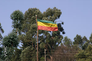Image shows an Ethiopian flag flying with trees in the background.