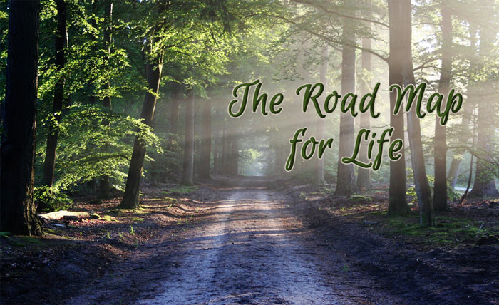 The Road Map for Life