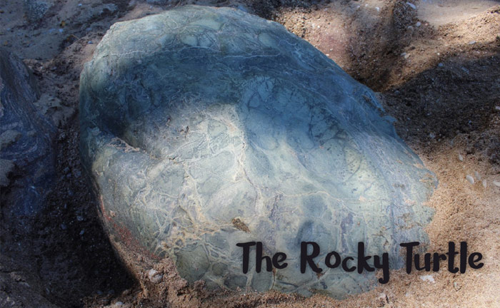 Rocky Turtle