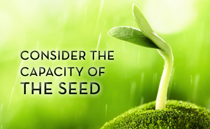 Consider the capacity of the seed