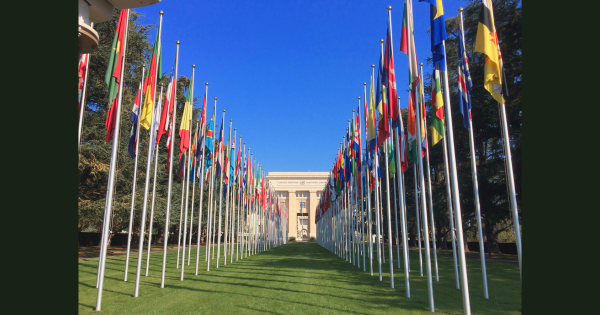 United Nations entry in Geneva with rows of various nations' flags leading to the door